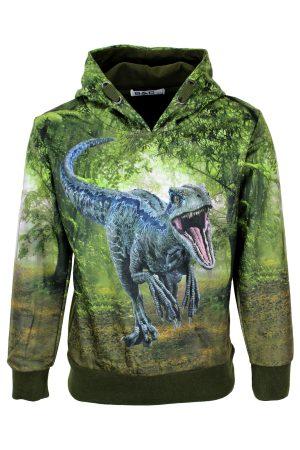 Kapuzenpullover Dinosaurier grün