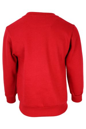 Pullover Nevergiveup rot
