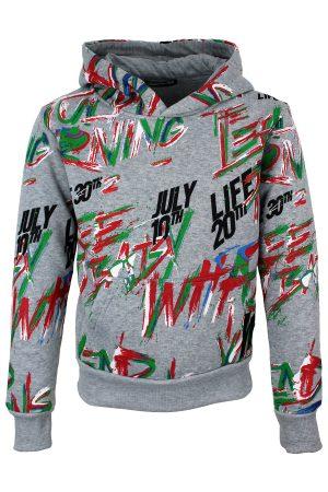 Kapuzenpullover Coloury grau