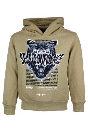 Kapuzenpullover Tiger braun